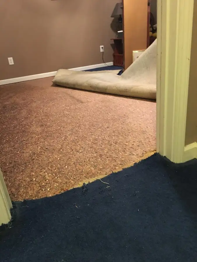 Carpet pad removal revealing water damage during Drying & Dehumidification in Cusseta-Chattahoochee County